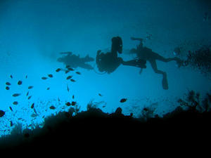 Divers (Sipadan)