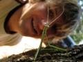 Me and Stick Insect.