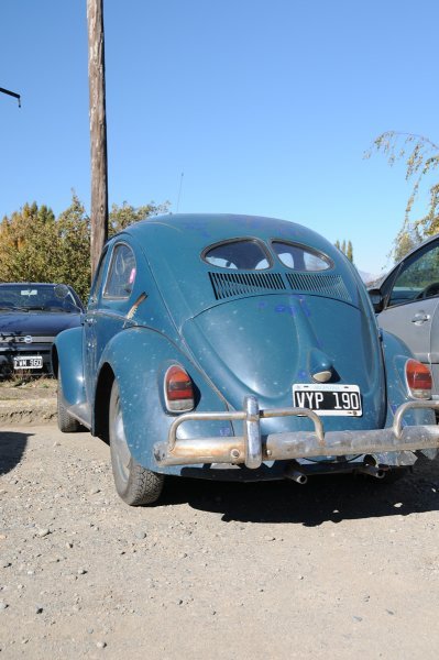 1950 split rear window volkswagon beetle