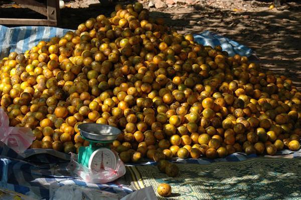 Selling Oranges, Luang Prabang