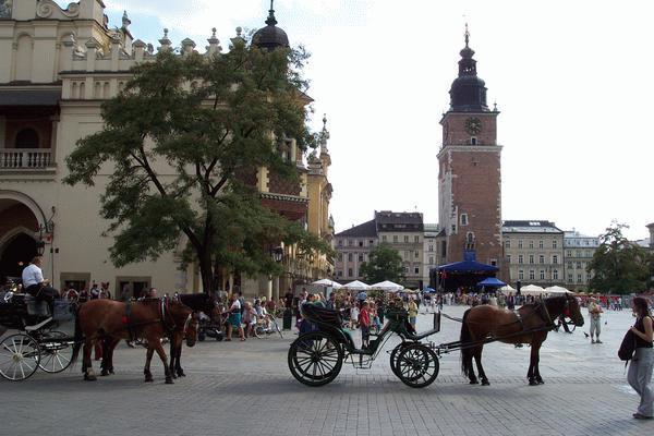 Horses in the main square
