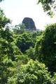 Tikal Temple 6