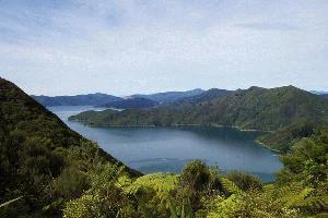 View Over the Marlborough Sounds