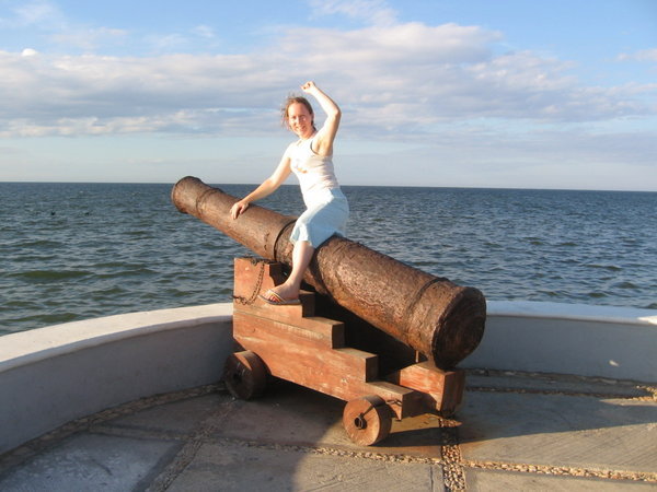 One of the old cannons