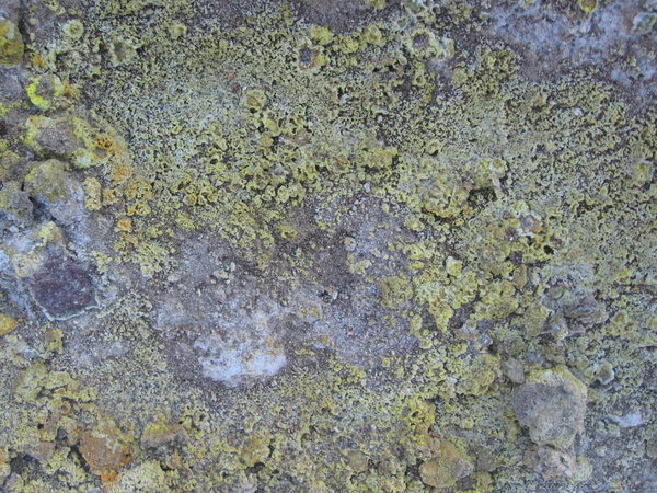 yellow sulphur on the ground