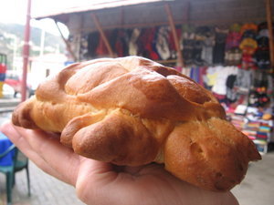 turtle bread
