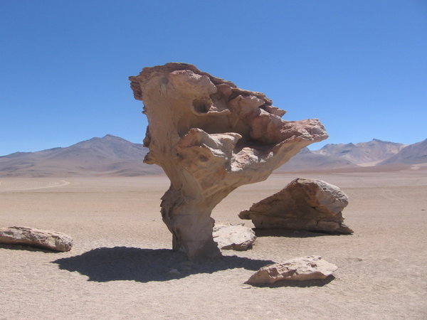 Arbol de Piedra (Stone Tree)