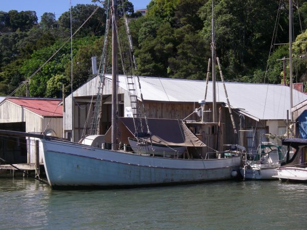 Nice old vessel in Whangarei Port