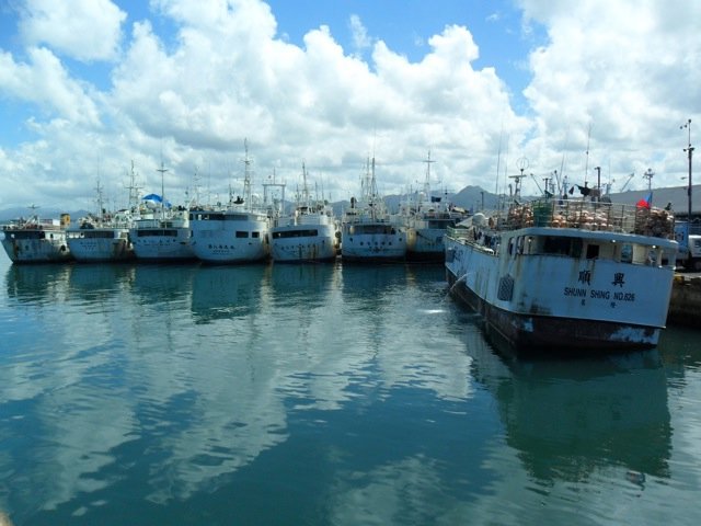 The tuna boats in Suva Harbour