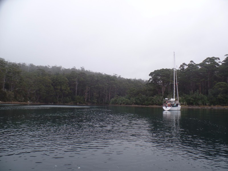 Hakura anchored in Canoe Bay, Fortescue Bay