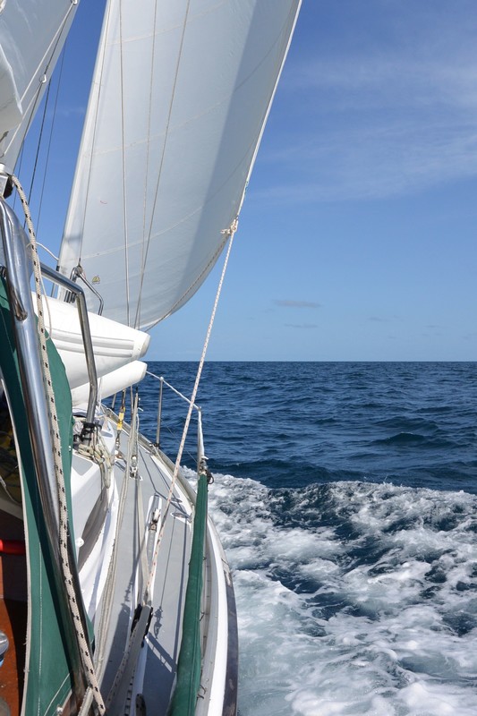 A great sail across Harvey Bay