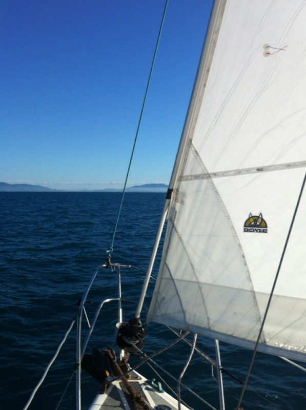 Finally some wind for a sail, albeit on the way back to Airlie Beach.