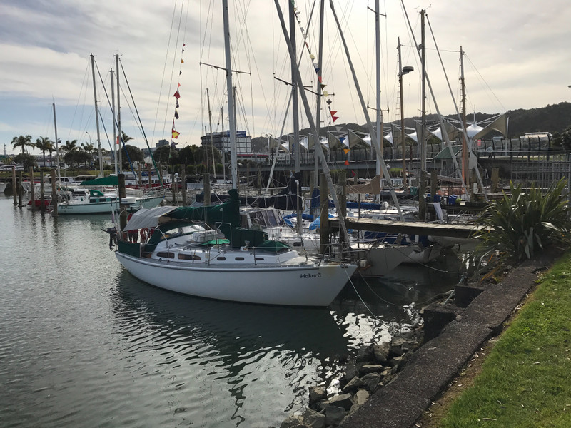 Back in the Whangarei Town Basin