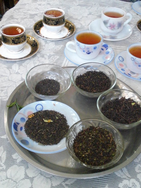 sampling the lovely Darjeeling tea