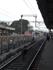 Waiting for the train to Agra - aspettando il treno per Agra
