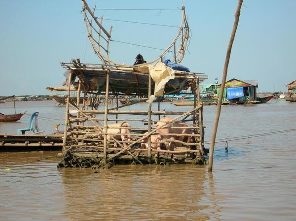 Floating Village - Siem Reap