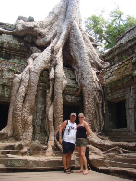 Roots over the temple