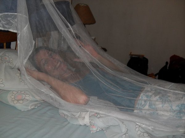 The mosquito net