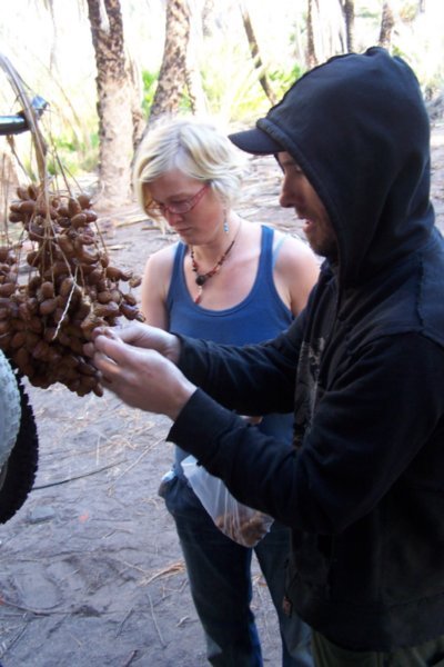 d- emilie and roguer plucking dates