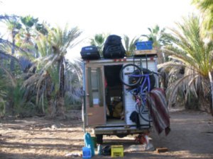 a- the camper in the date palms, San Ignacio