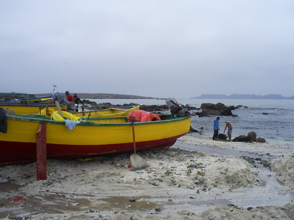 Fishermen - Pescadores