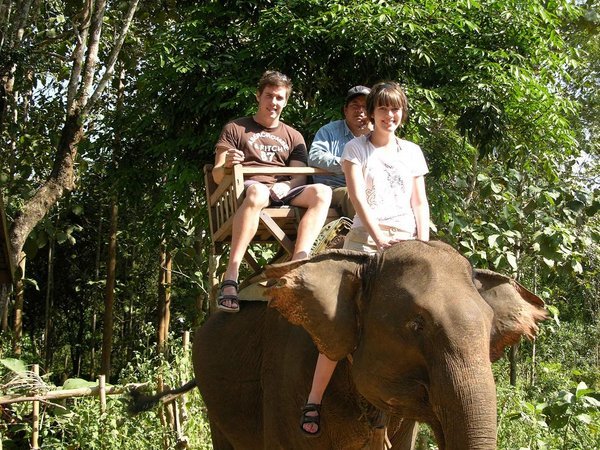 Elephant riding, Luang Prabang