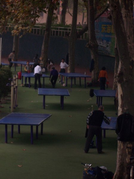 Ping Pong Everywhere!