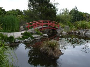 Miyazu Japanese Garden