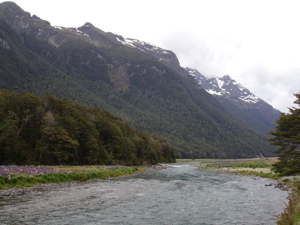 Drive to Manapouri