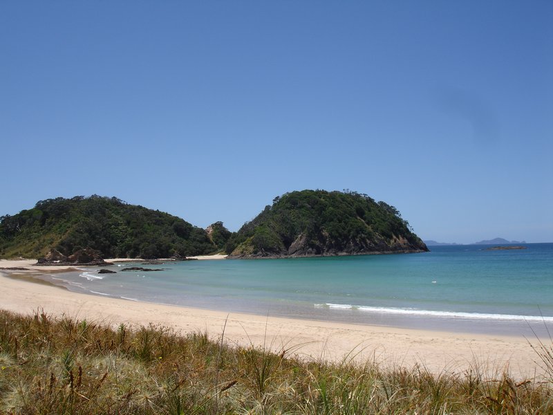 Tutukaka Beach