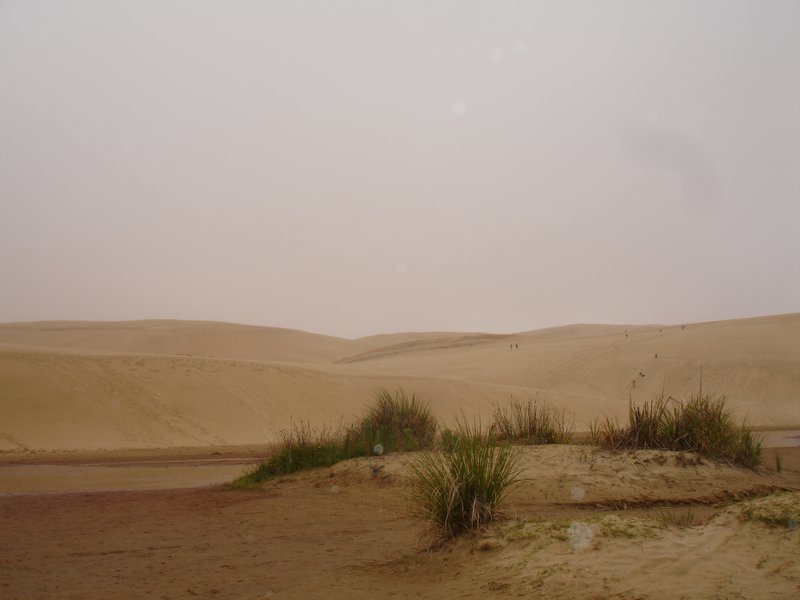 Te Paki sand dunes