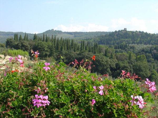 Flowers in Tuscany