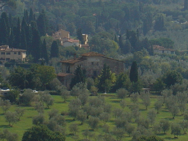 Hills of olive groves...