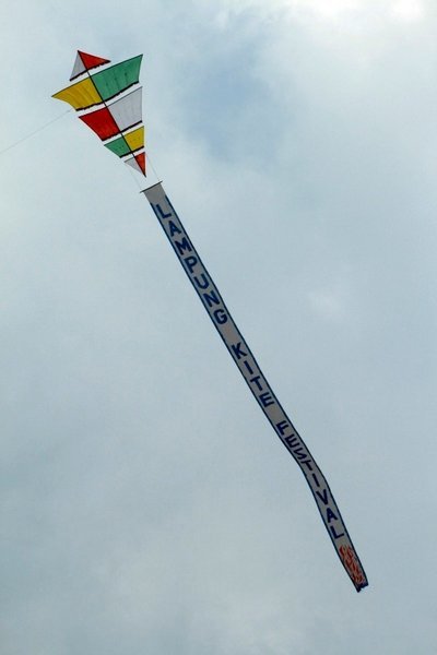 Festival Banner Kite