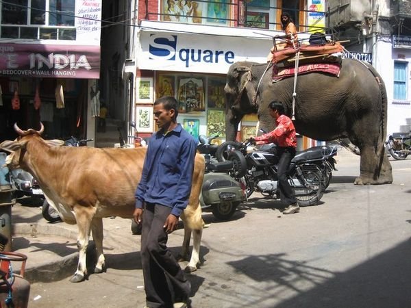 Traffic in Udaipur