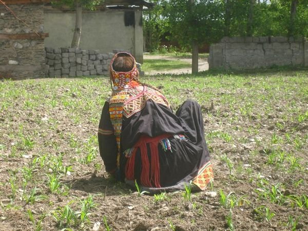 Kalasha Woman working in a field