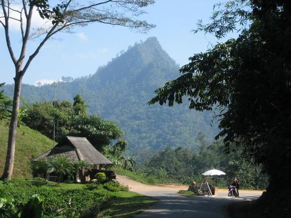Hills north of Chiang Mai
