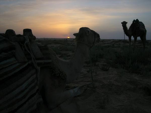 Sunrise on the Camel Trek