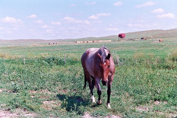 Josh's ranch in the sandhills of Nebraska