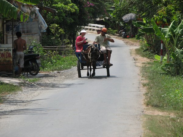 Mekong Transport