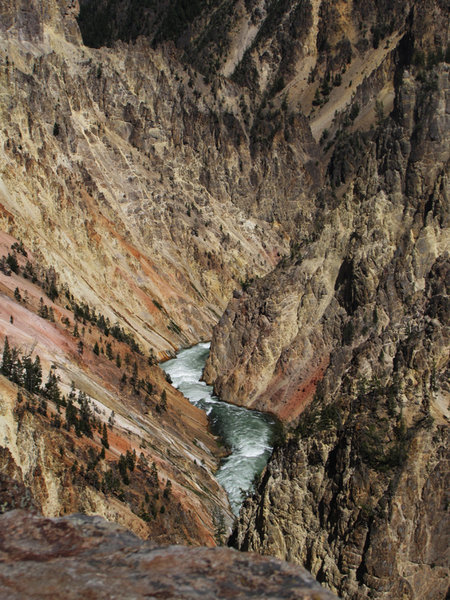 Yellowstone River and Canyon