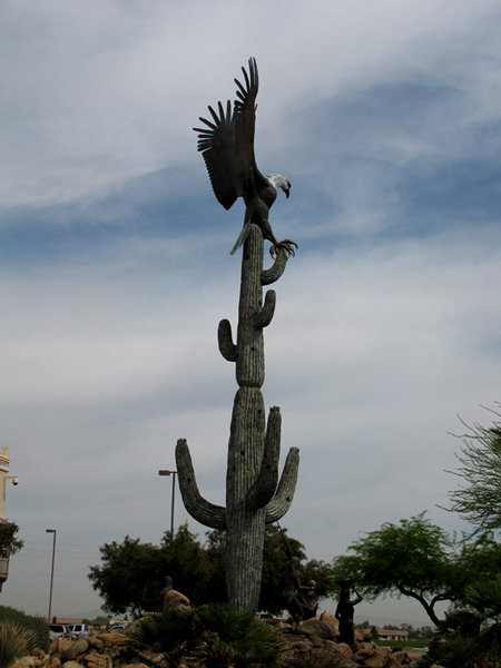 Eagle on Saguaro