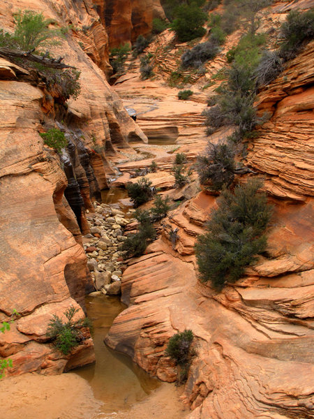 Water in Zion