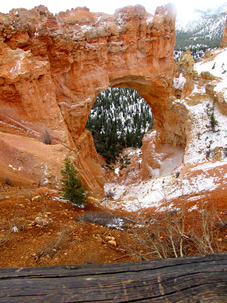 Natural Arch in Bryce