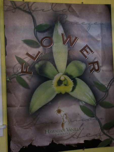 Banner at Vanilla Factory