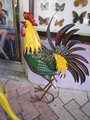 The Rooster