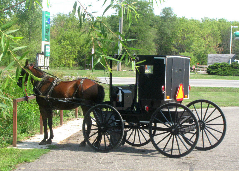 A Real Amish Buggy