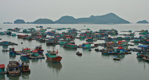 A city on the water, Cat Ba Harbour