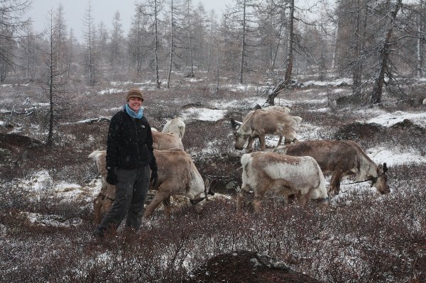 Caroline herding reindeer in the snow