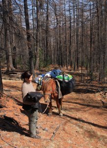 Ulzii and ourluggage horse in the forest
